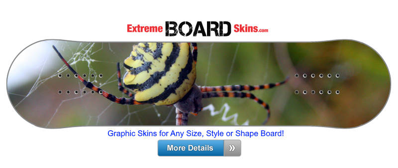 Buy Board Skin Nature Spider Board Skin
